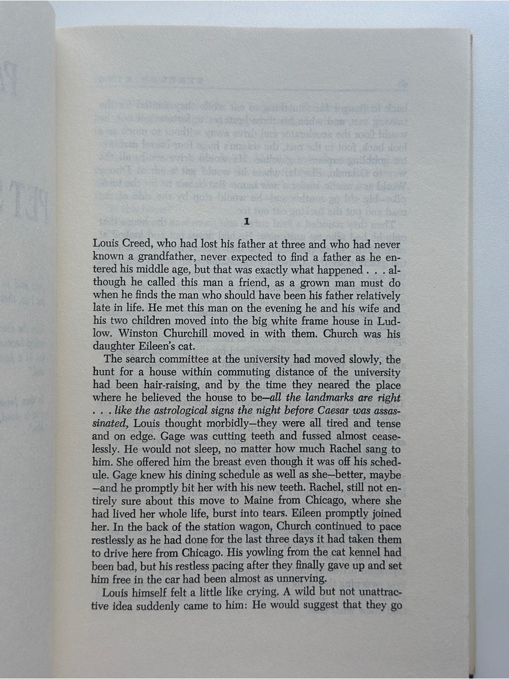 Pet Sematary by Stephen King - FIRST EDITION | Fiction, Horror | Hardcover Book - Picture 11 of 13
